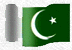 The Pakistani-American Youth Directive